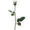 Allstate 23" Off White Long Stem Rose Bud Artificial Floral Stem